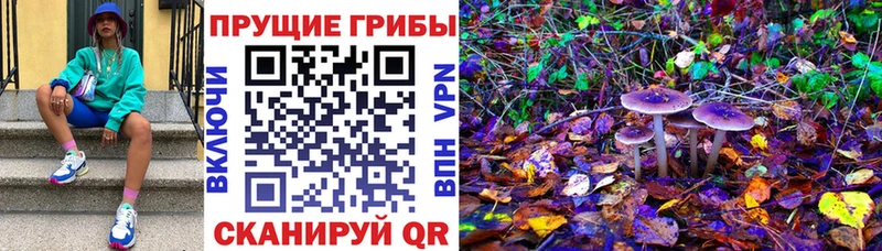 Галлюциногенные грибы MAGIC MUSHROOMS  Алатырь 